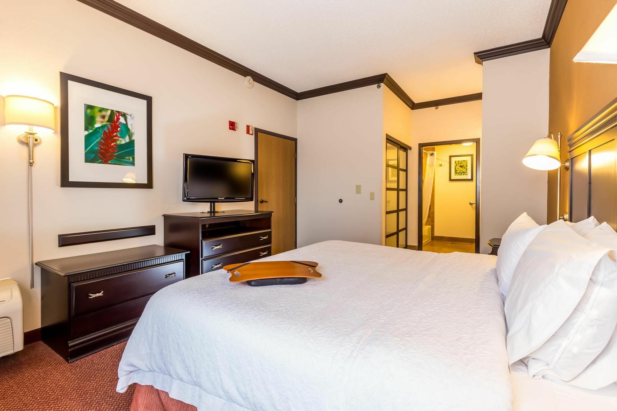 Hampton Inn & Suites Chicago-הופמן אסטייטס מראה חיצוני תמונה